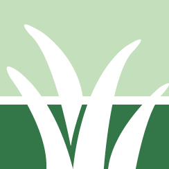 Poison Sumac Removal Pros