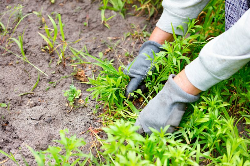 Newark, DE