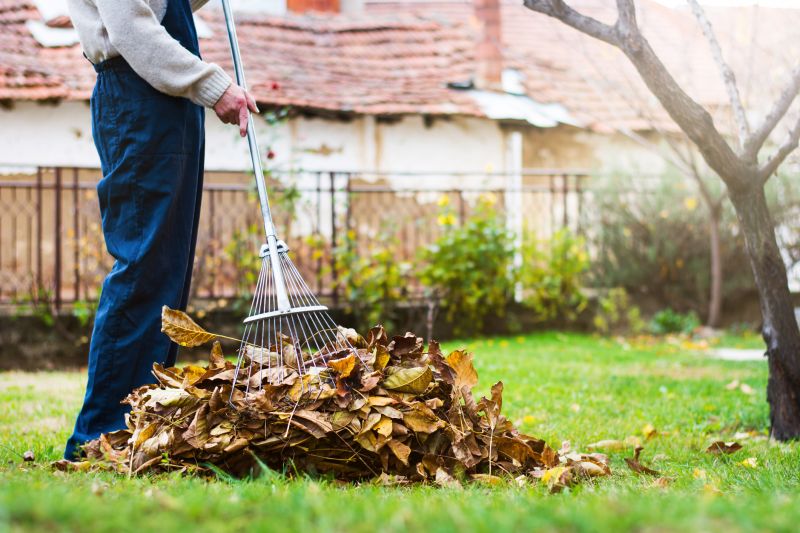 Raking Leaves Efficiently