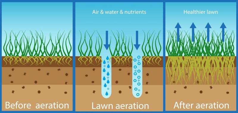 Soil Testing and Nutrient Planning