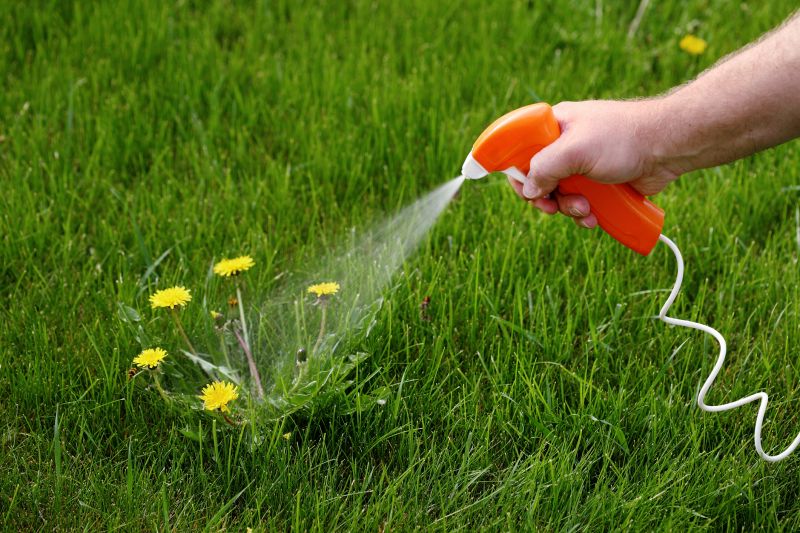 Lawn Weed Treatment in Aiken, SC